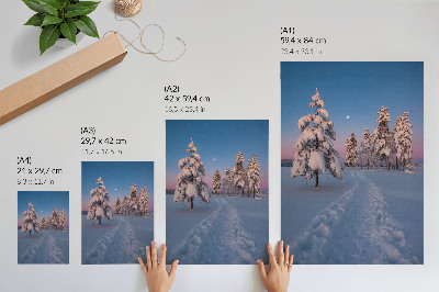 Poster auf leinwand Winterlandschaft