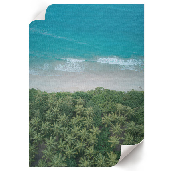 Bilder-Poster mit tropischem Strandmotiv