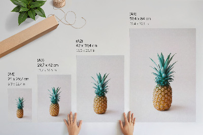 Kunstdruck leinwand Tropische Ananas