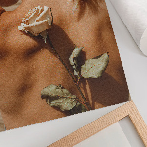 Plagát do izby Ružová intimita