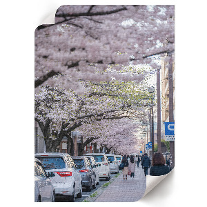 Wandposter mit Kirschblütenmotiv