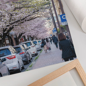 Wandposter mit Kirschblütenmotiv