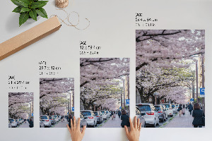 Wandposter mit Kirschblütenmotiv