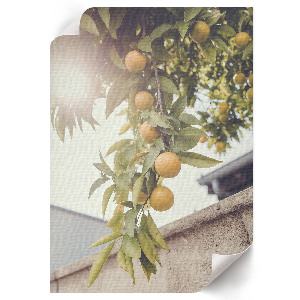 Kunstdruck auf Leinwand mit Motiv Sommerfrüchte