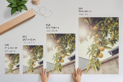 Kunstdruck leinwand Sommerfrüchte