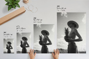 Plagát do obývačky Ananásový portrét