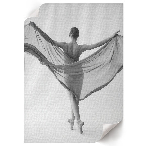 Poster Kunstdruck mit Motiv einer Balletttänzerin