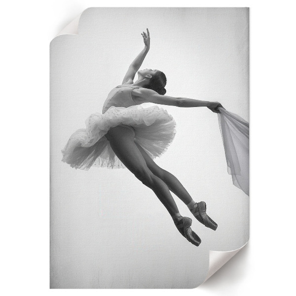 Plagát do izby Tanec elegancie