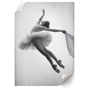 Wandposter „Tanz der Eleganz