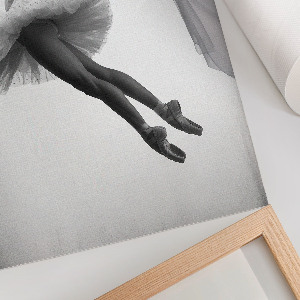 Wand poster Tanz der Eleganz