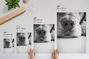 Kunstdruck-Poster mit Hundegesicht