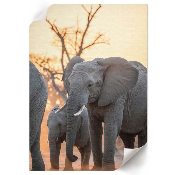 Wandposter mit afrikanischen Elefanten