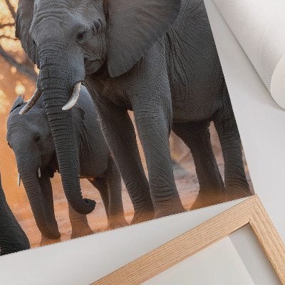 Wand poster Afrikanische Elefanten