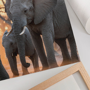 Wandposter mit afrikanischen Elefanten