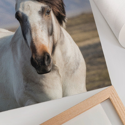 Wand poster Ein Pferd mit Mähne