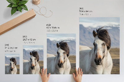 Wand poster Ein Pferd mit Mähne