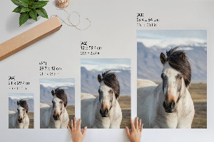 Wandposter mit Pferd und wehender Mähne