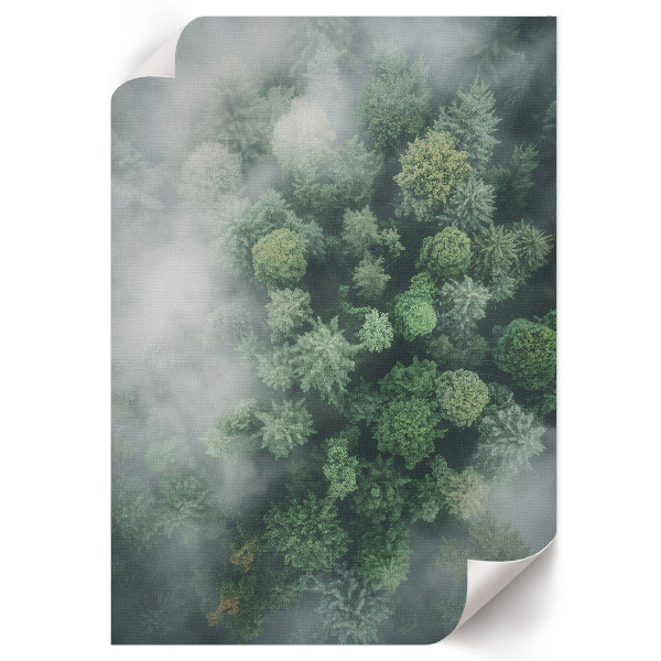 Poster Kunstdruck mit Waldnebel-Motiv