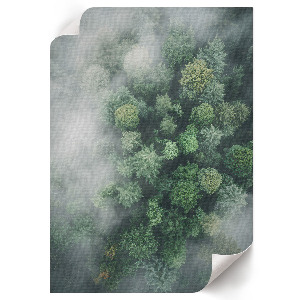 Poster Kunstdruck mit Waldnebel-Motiv