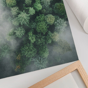 Poster Kunstdruck mit Waldnebel-Motiv