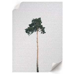 Bilderposter mit Motiv eines einsamen Baumes