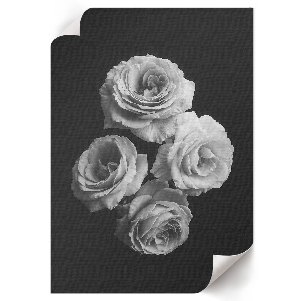 Kunstdruckposter „Vier Rosen"