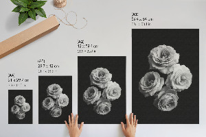 Kunstdruckposter „Vier Rosen