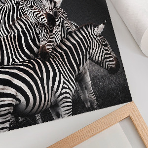 Poster mit Zebrafoto im Safari‑Stil