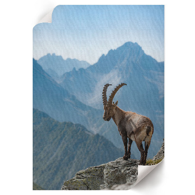Poster kunstdruck Bergnatur