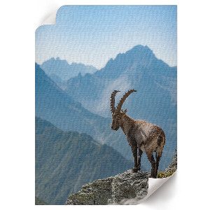 Plagát do obývačky Horská príroda