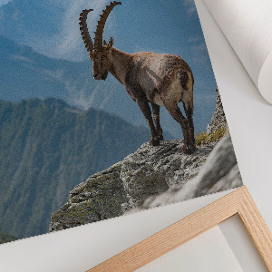 Plagát do obývačky Horská príroda