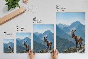 Plagát do obývačky Horská príroda