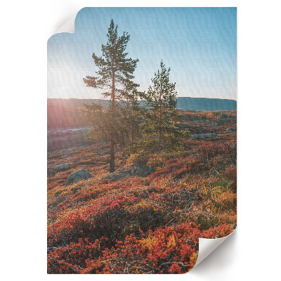 Poster leinwand Herbstliche Harmonie
