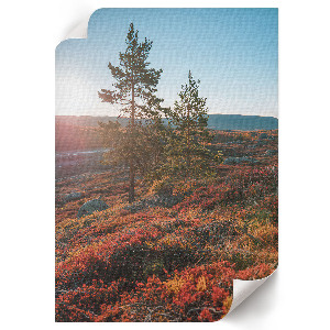 Retro plagát Jesenná harmónia