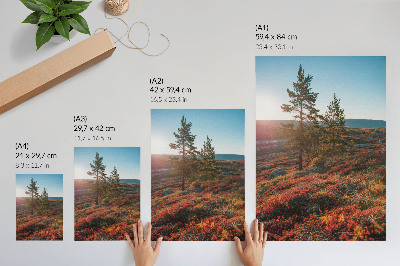 Poster leinwand Herbstliche Harmonie