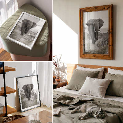 Kunstdruck poster Afrikanischer Elefant