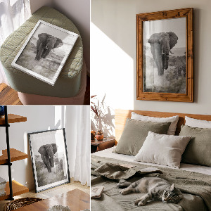 Kunstdruck poster Afrikanischer Elefant