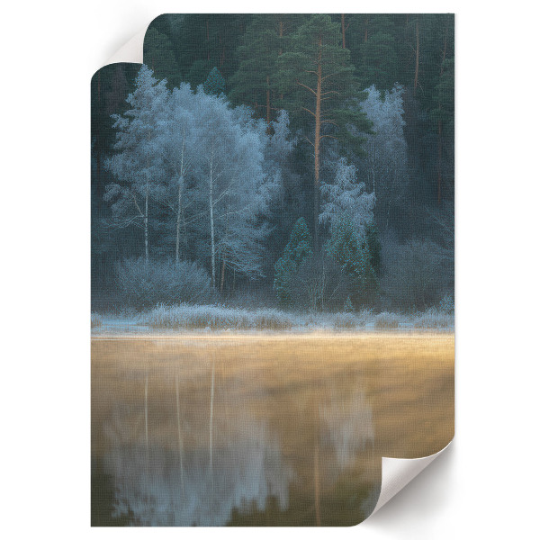 Retro poster Stille des Waldes