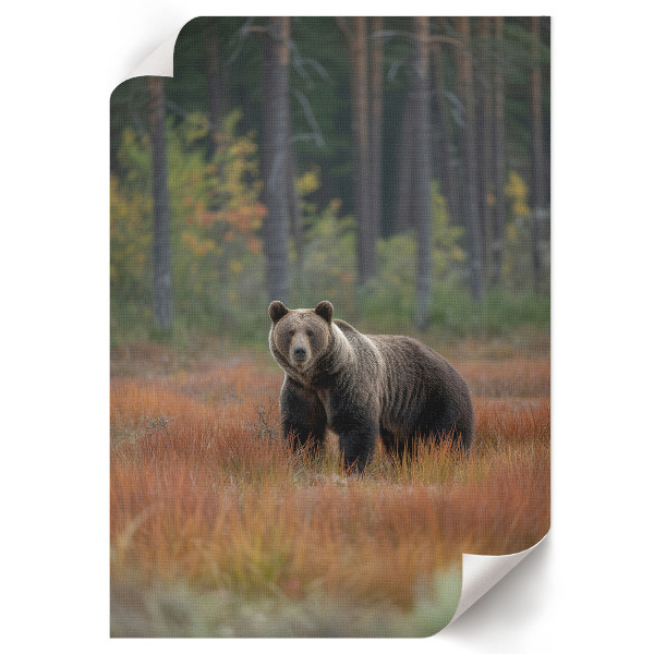 Poster leinwand Bär im Wald
