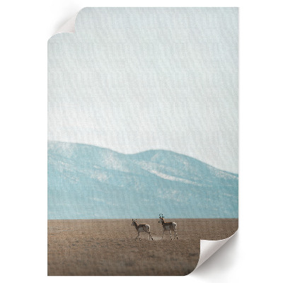 Kunstdruck poster Bergblick