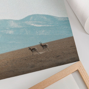 Poster na stenu Výhľady na hory