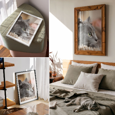 Poster auf leinwand Graue Katze