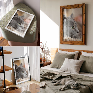 Poster auf leinwand Graue Katze