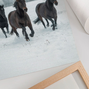 Kunstdruck poster Winterpferde