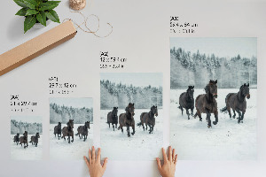Kunstdruck poster Winterpferde
