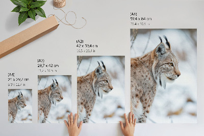 Kunstdruck leinwand Winterluchs