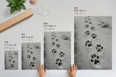 Kunstdruck poster Tierspuren