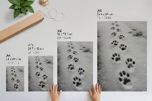 Kunstdruck poster Tierspuren