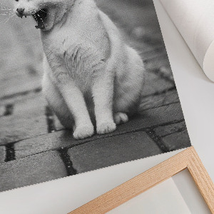 Retro poster gähnende Katze