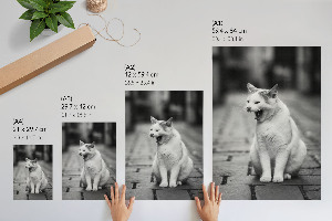 Retro poster gähnende Katze
